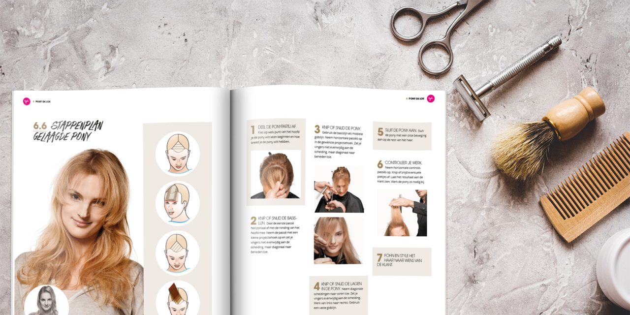 Stappenplan Hairlevel